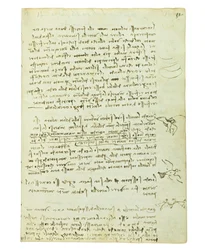 Codex on the Flight of Birds, Folio 12 Recto